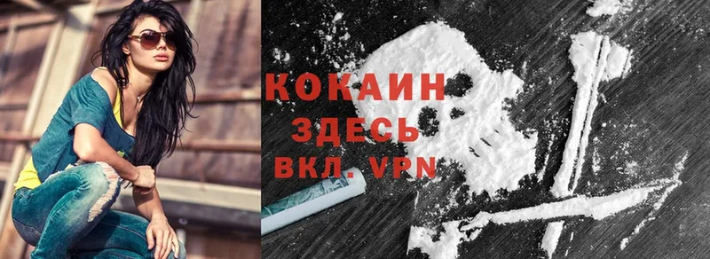 Cocaine FishScale  ссылка на мегу как зайти  Армянск 